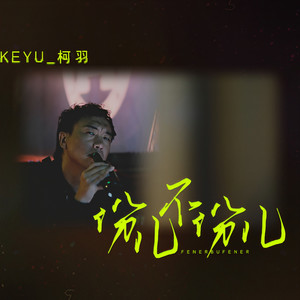 柯羽 - 份儿不份儿