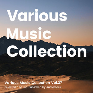 Various Music Collection Vol.37 -Selected & Music-Published by Audiostock-