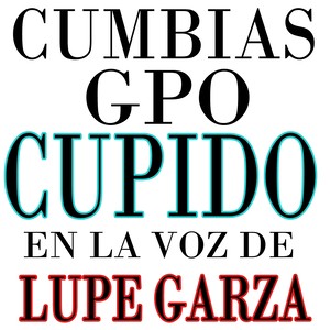 Cumbias en la Voz de Lupe Garza