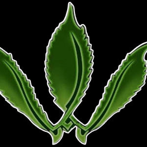 I Left Colombia (feat. Cristalion) (Explicit)