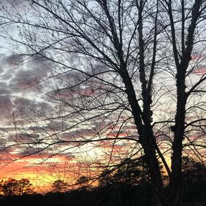 Dream Dream (Explicit)