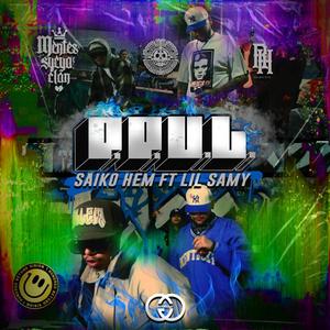 PPVL (feat. Lil Samy Msc) (Explicit)