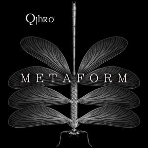 Metaform