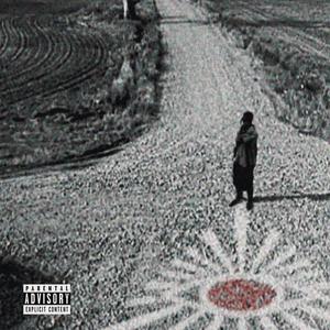 PUNCHDAVALLE (Explicit)