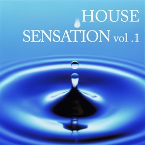 House Sensation 1