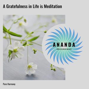 A Gratefulness in Life is Meditation: Pure Harmony