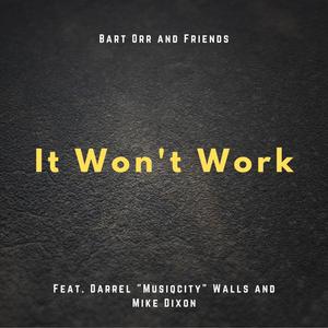 It Won't Work (feat. Darrel "Musiqcity" Walls & Mike Dixon)