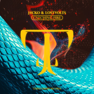 Catching Fire (Extended Mix)