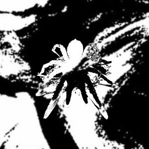 the final goodbye (Explicit)