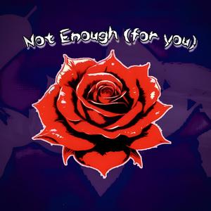 Not Enough (For You)