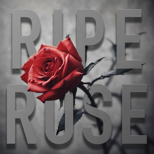 Ripe Rose