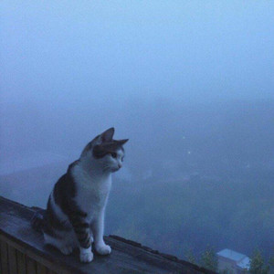 I Wait for You