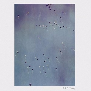 The Principle (feat. Dominiak) (Explicit)