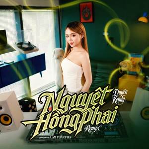 Nguyệt Hồng Phai (NH4T Remix)