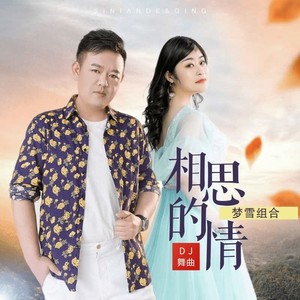 相思的情 (DJ版)