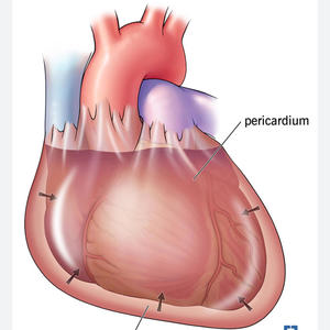 Send This To Her (Explicit)