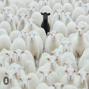 Back and Better (Explicit)