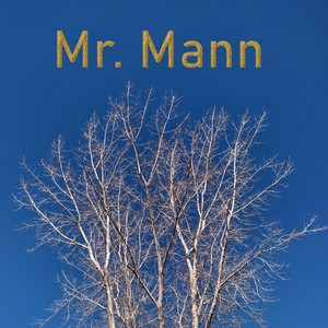 Mr. Mann