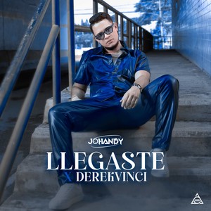 Llegaste