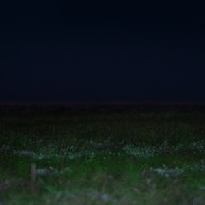 Different Trains(feat. Tohji)