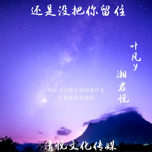 还是没把你留住