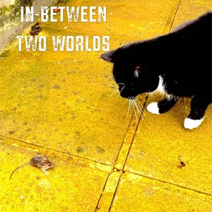 Inbetween Two Worlds