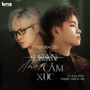 Loạn Nhịp Cảm Xúc (Remix 5)