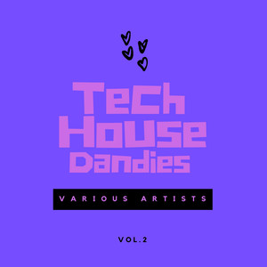 Tech House Dandies, Vol. 2