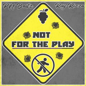 Not for the Play (feat. Ray Rizzo) [Explicit]