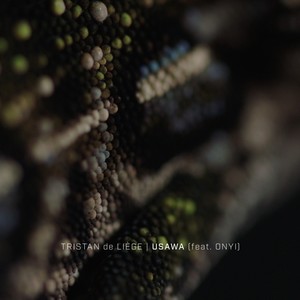 Usawa (Northern Form Remix)