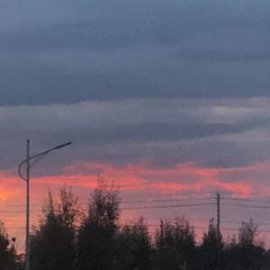 初夏. (Prod.by #Rye/NO_BORDER)
