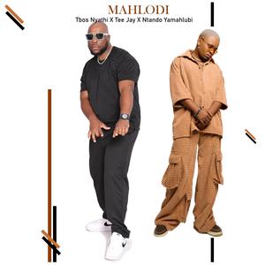 Mahlodi (feat. Tee jay & Ntando yamahlubi)