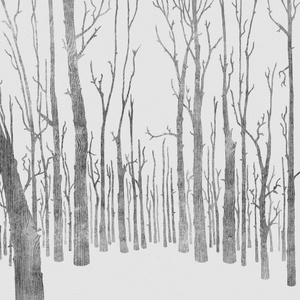 Shiro (Max Loderbauer Remix)