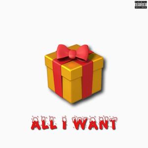 All I Want (Explicit)