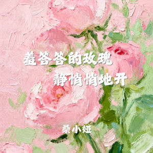 羞答答的玫瑰静悄悄地开