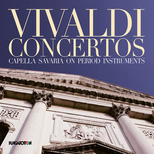 Chamber Concerto in D Major, RV 91 - III. Allegro non molto (第三乐章 不很快的快板)