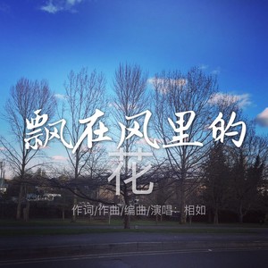 飘在风里的花