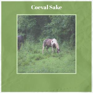 Coeval Sake