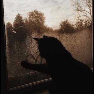 my obsession (Explicit)