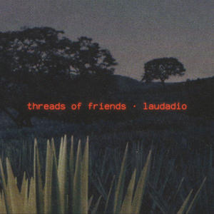 Threads of Friends