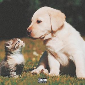 catz n dawgz (feat. Ken the Misfit) [Explicit]