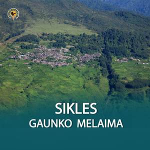 SIKLES GAUNKO MELAIMA