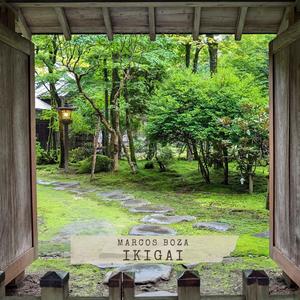 Un Puente al Futuro - Solo Piano