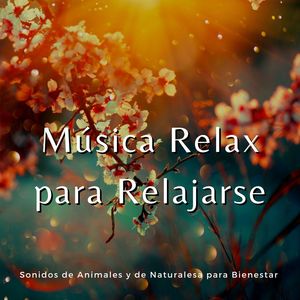 Música Tranquila y Pacífica