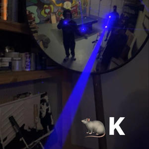 trapn john wick (Explicit)