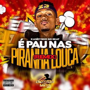 É PAU NAS PIRANHA LOUCA (REMIX|Explicit)