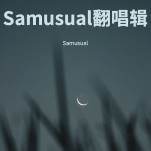 Samusual翻唱辑