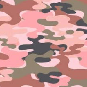 dandelion (feat. yadier & xxffcyuvcui) (Explicit)