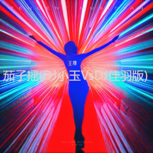 茄子摇 (DJ小玉VsDJ佳羽版)