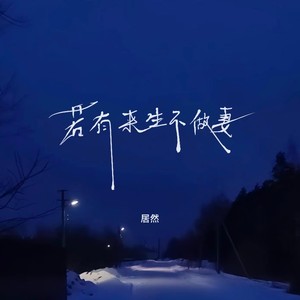 若有来生不做妻